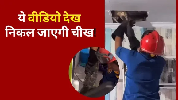 Viral Video Crocodile In Kitchen
