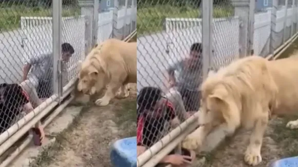 viral news today1
