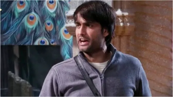 Vivian dsena
