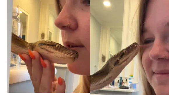 viral snake video