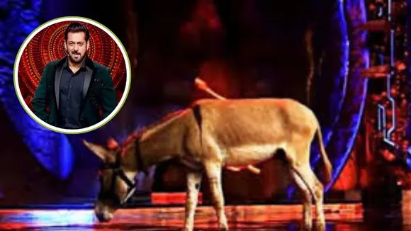 Big Boss 18 donkey