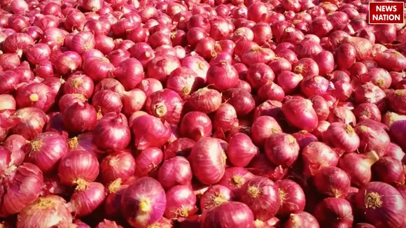 Onion 