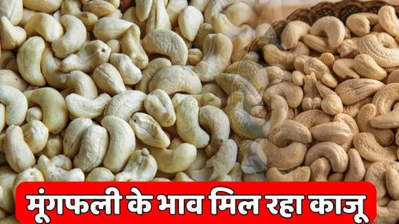 Cashew Rate