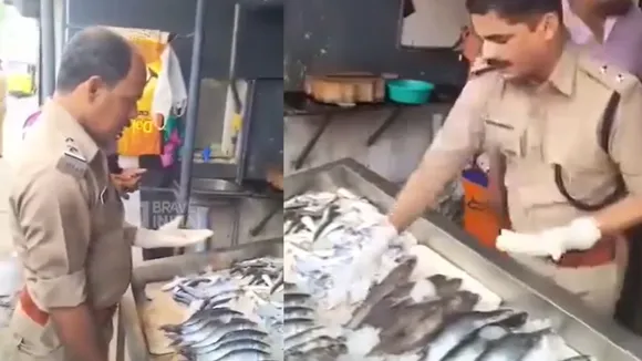 viral video 