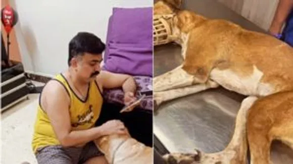 cruel-dog-owner-brutally-beats-kills-stray-dog