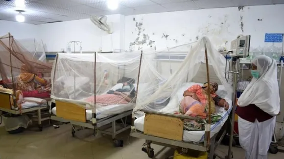 Dengue Cases in Pakistan