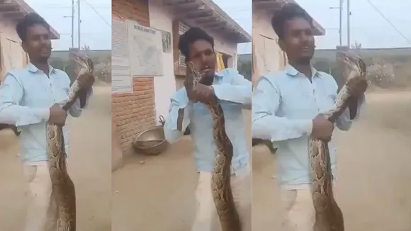 snake viral 1111