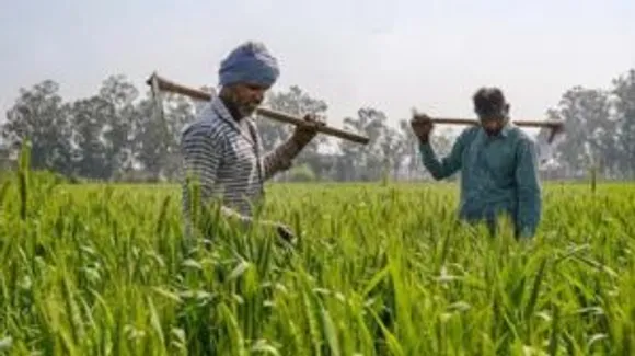 yogi-government-is-providing-subsidy-in-agricultural