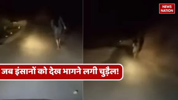 viral witch video