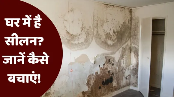 effective tips to protect your home from dampness during monsoon season