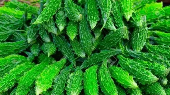 karela 