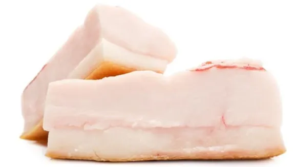 animal fat