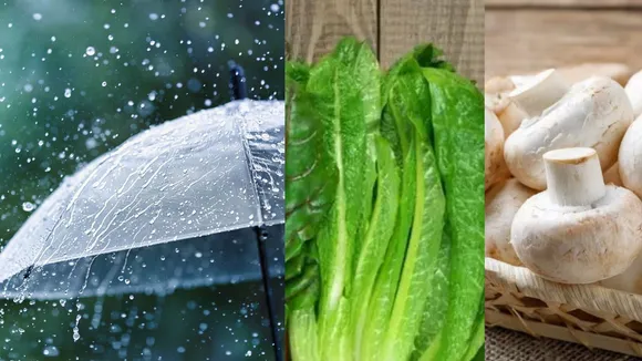 avoid these foods in monsoon