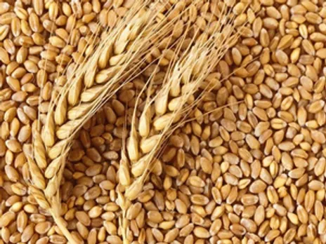 Cabinet approves hike in MSP for rabi crops