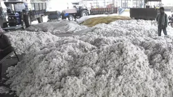 Govt operationalises record 550 cotton procurement centres across 11 states