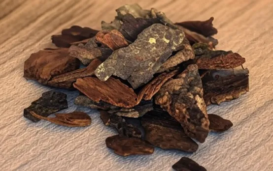 दिल के लिए अर्जुन की छाल क्यों है फायदेमंद? जानिए आयुर्वेदिक तरीका