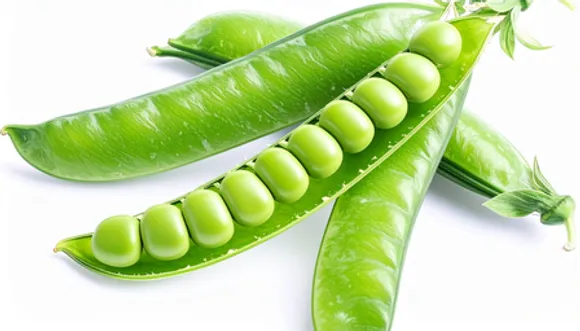 कूड़े में न फेंकें मटर के छिलके, इसमें छिपे हैं सेहत के असली खजाने