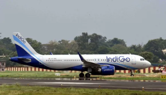 Indigo