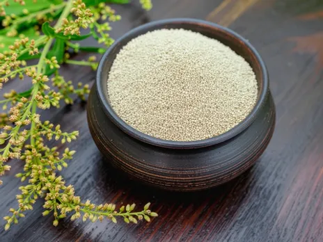चौलाई के बीज: बुजुर्गों से लेकर गर्भवती महिलाओं के लिए सुपरफूड है चौलाई के बीज, सेवन से मिलेंगे कई लाभ