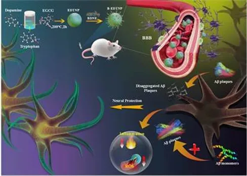 INST researchers develop new nanoparticle-based multifunctional therapy for Alzheimer’s