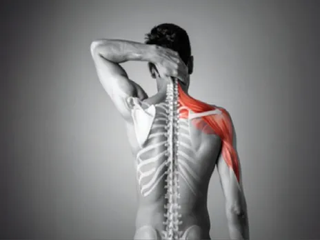 कैल्शियम और विटामिन डी का कॉम्बो रीढ़ की हड्डी के लिए संजीवनी, जानें दोनों को साथ लेना क्यों जरूरी