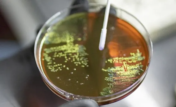 Antibiotic use during pregnancy may raise risk of bacterial disease in babies