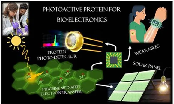 INST scientists find natural protein that can reshape future of electronic materials