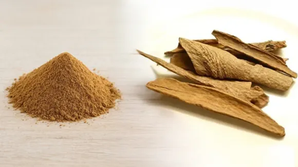 लोध्र: त्वचा और स्त्री स्वास्थ्य के लिए आयुर्वेद की शक्तिशाली वनौषधि, जानिए फायदे