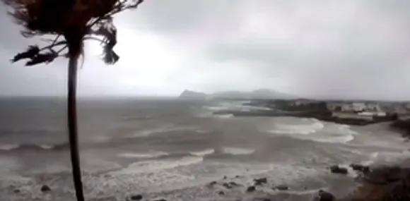 Woman killed by falling tree as powerful storms hit Sydney