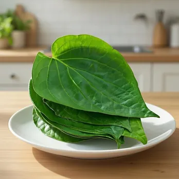 तला-भुना खाना आपकी सेहत को पहुंचा रहा नुकसान? पान का पत्ता बना सकता है पेट और पाचन तंत्र को मजबूत