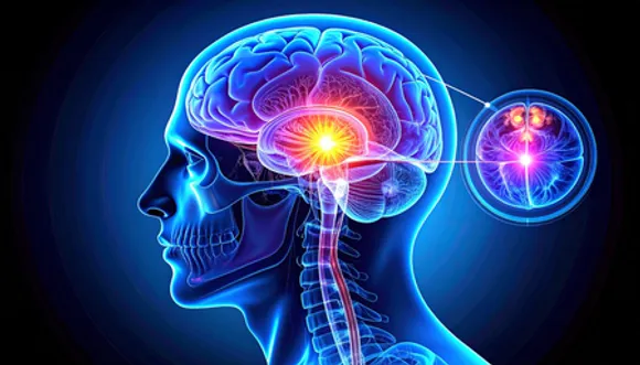 मटर के दाने जितनी छोटी ग्रंथि, लेकिन आपकी नींद, मूड और चेतना तक सब कुछ करती है कंट्रोल