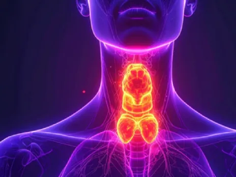 थायराइड से जुड़ा मिथक: क्या थायराइड से बचने के लिए सिर्फ आयोडीन जरूरी है? जानें सेलेनियम और जिंक की भूमिका