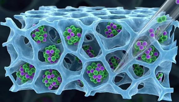 IIT Bombay develops method to recover T-cells for cancer therapies