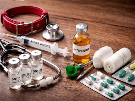 K'taka targets zero rabies deaths, rolls out snakebite action plan