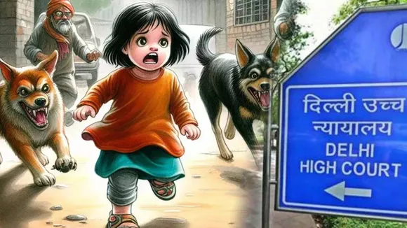 Delhi High Court News