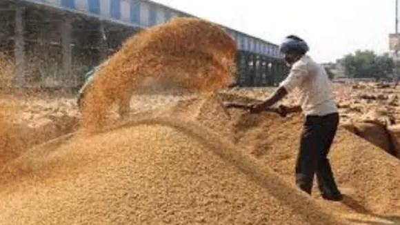 Paddy procurement 