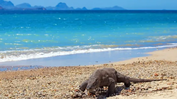 Komodo National Park