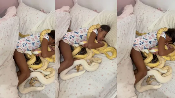 snake viral video1