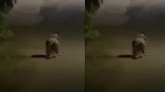 viral ghost video