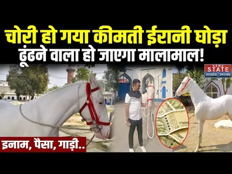 Lucknow News: लखनऊ में ईरानी घोड़ा चोरी होने से मचा बवाल! Iranian Breed Horse Missing | Viral News
