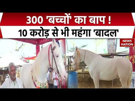 Pushkar Mela: मेले में आया 300 'बच्चों' का बाप | Badal है सबसे महंगा Horse | Pushkar Fair