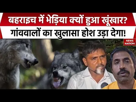Bahraich Wolf Attack: बहराइच में भेड़िया कैसे बना खूंखार, गांववालों ने क्या बताया, जानिए। UP । Wild