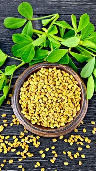 मेथी खाने से क्या लाभ मिलता है, कितने तरीकों से कर सकते हैं सेवन?