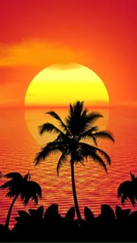 सूर्यास्त के बाद भूलकर भी न करें ये 5 काम, छीन जाएगा सुख-चैन