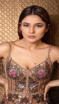 शहनाज गिल के नए फोटोशूट ने लगाई इंटरनेट पर आग
