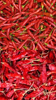 बेहद चमत्कारी है लाल मिर्च, जरूर करें ये उपाय जीवन में आएगी खुशहाली