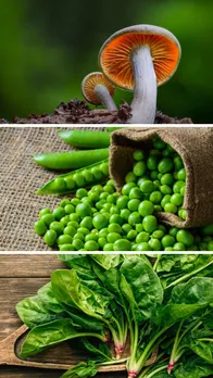 इन 5 सब्जियों में होती है यूरिक एसिड की अधिक मात्रा