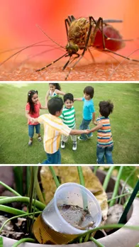 बारिश में डेंगू से बचने के लिए जरूर बरतें ये 5 सावधानियां