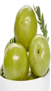 आंवले के 10 जबरदस्त फायदे, जानिए जरूर