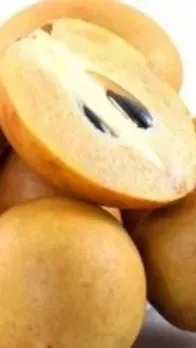 इन लोगों को भूलकर भी नहीं खाना चाहिए चीकू!